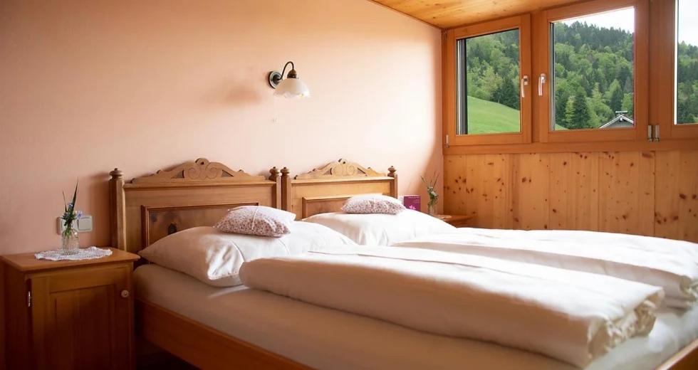 Bio Ferienbauernhof Greber Villa Schwarzenberg im Bregenzerwald Dış mekan fotoğraf