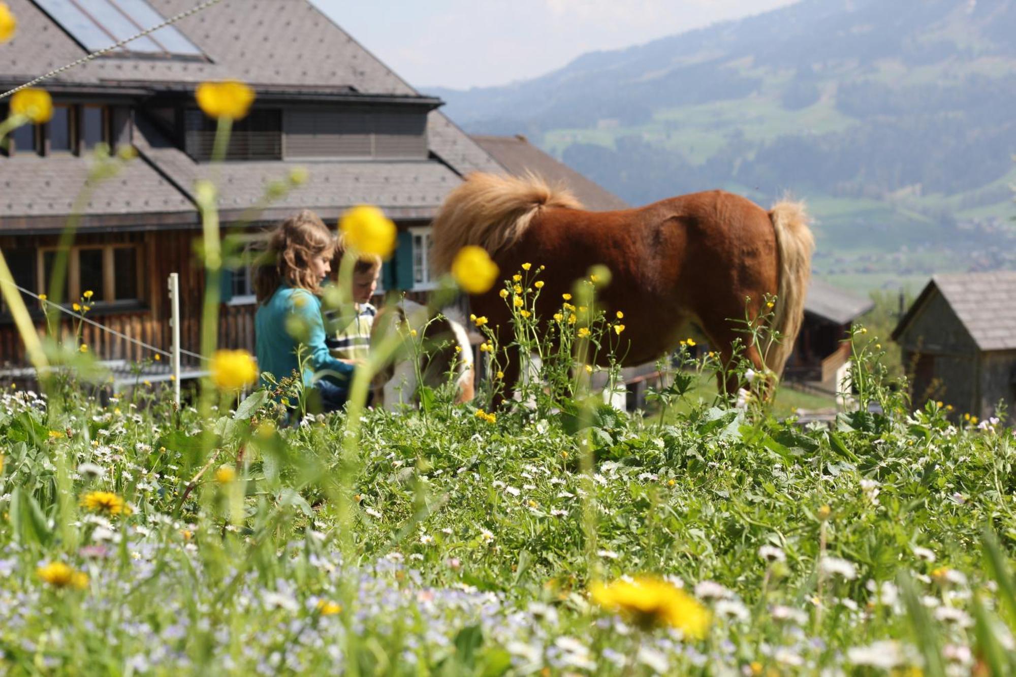 Bio Ferienbauernhof Greber Villa Schwarzenberg im Bregenzerwald Dış mekan fotoğraf