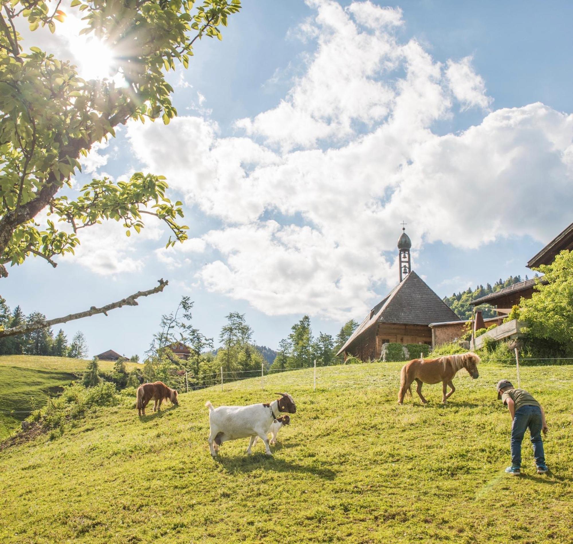 Bio Ferienbauernhof Greber Villa Schwarzenberg im Bregenzerwald Dış mekan fotoğraf